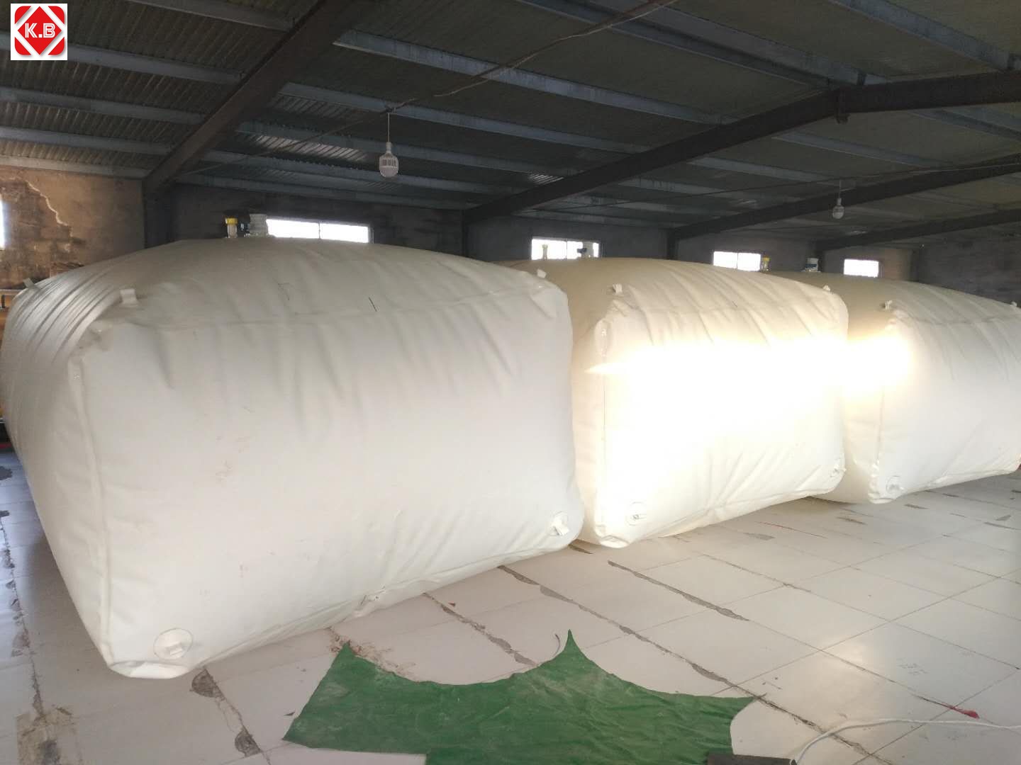mmexport1616661301660.jpg
